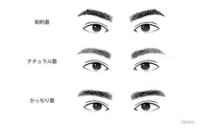 男性眉パターン
