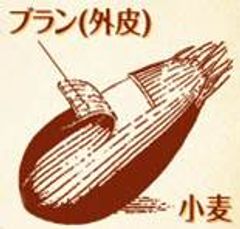 小麦ブラン