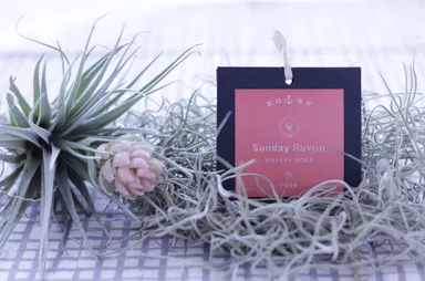 お土産Handyせっけん