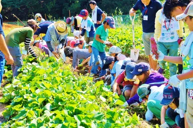 「こども農業塾」野菜の収穫