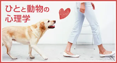 ひとと動物の心理学