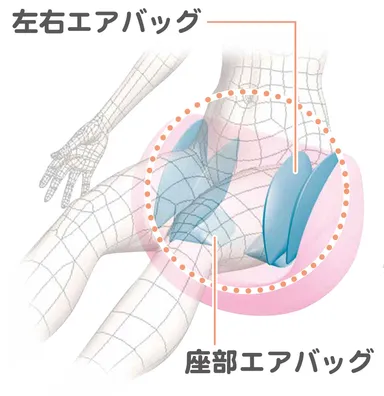立体骨盤締つけ構造