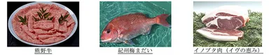 絶品和歌山食材（一例）