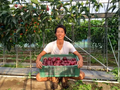 収穫したパッションフルーツと園主