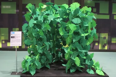 MILLE FEUILLES (1000枚の葉プロジェクト)