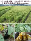 わくわく農業体験！ 大地から学ぶ食育ツアー