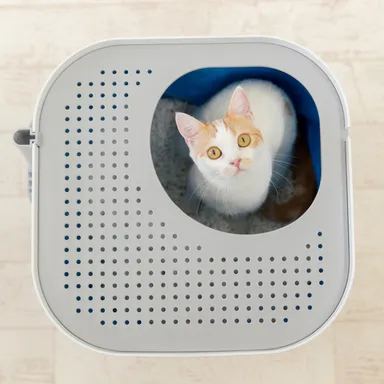 ネコ砂がトイレの外に散らばらない設計