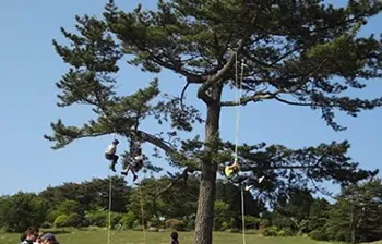 ロープクライミング　開催時の様子