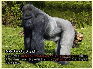 PRサイト イメージ 3