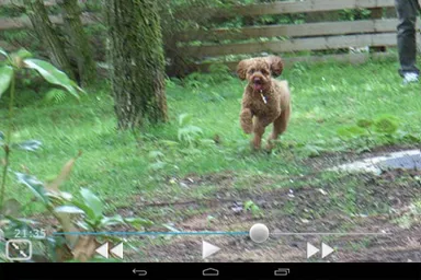 番組再生イメージ