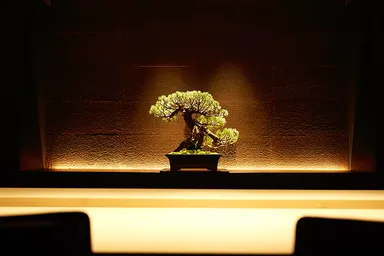 店内 カウンター(正面)