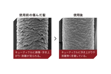 キューティクル比較