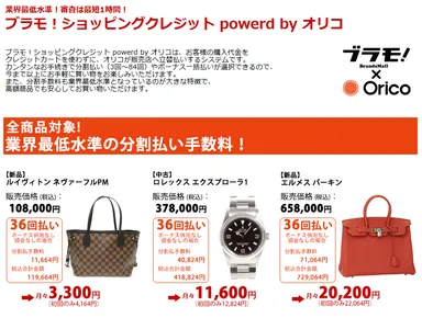 『ブラモ！ショッピングクレジット』画面