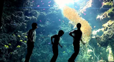 【夏のいわき】アクアマリンふくしまで 中学生ストリートダンサーが踊ってみた 【FORCE ELEMENTS】 Youtube画像１