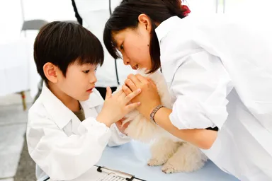 一日獣医師体験コーナー　1
