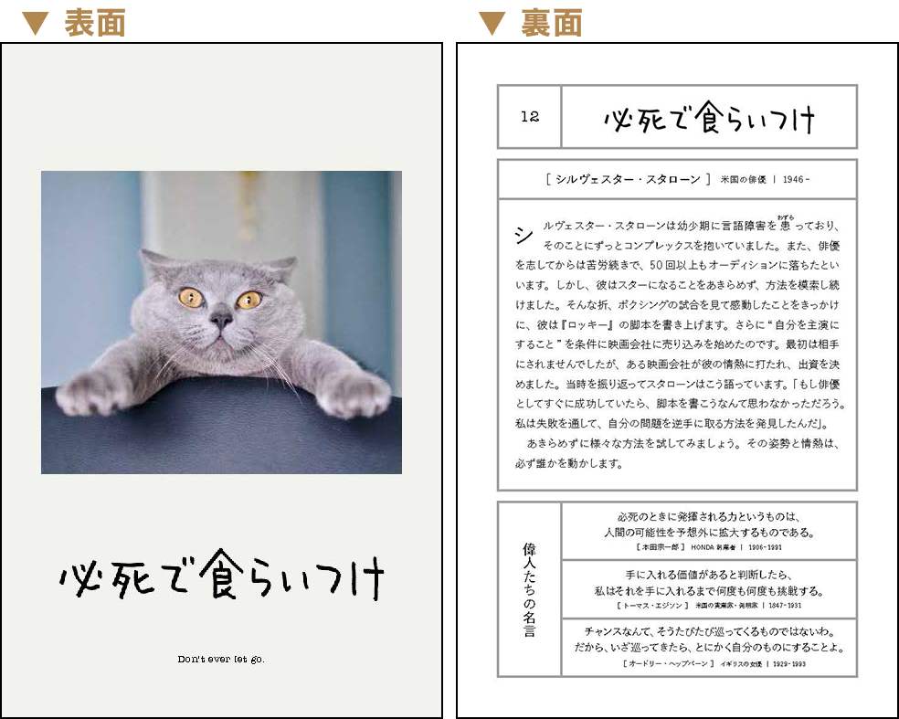 シリーズ累計170万部超え 超 大ヒット作品 人生はニャンとかなる の続編 10月2日発売 可愛い猫の写真と偉人の名言で幸福を招く 株式会社文響社のプレスリリース