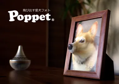 Poppet(R)は顔が立体化したレリーフです