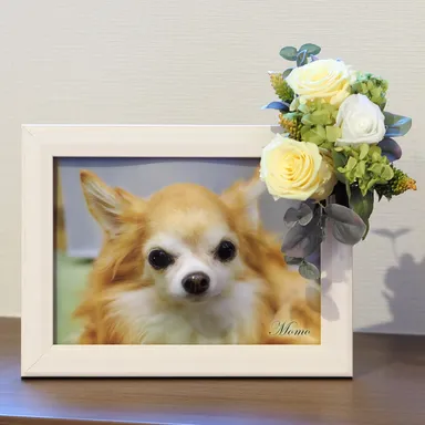 プリザーブドフラワーオプション