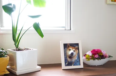 平面写真には無い存在感と愛おしさ