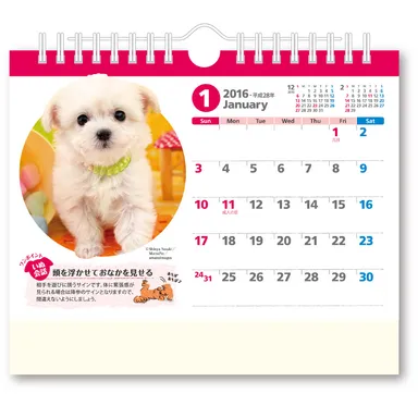 アイペット公式カレンダー(※画像はイメージです。実際の商品とは異なる場合があります。)