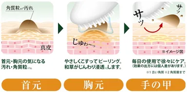 つぶぽろんの使い方