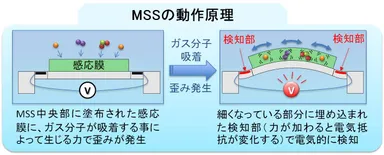 MSSの動作原理