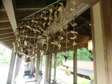 キノコのカーテン