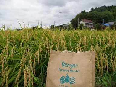 イメージ写真(4)