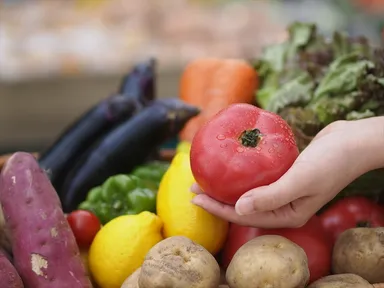 イメージ写真(5)