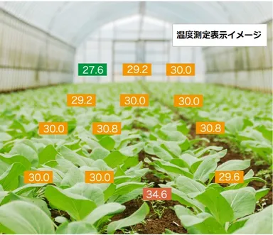 温度測定表示イメージ