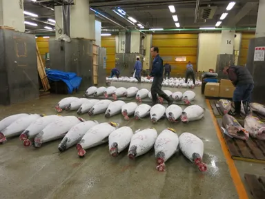 豊洲新市場の移転に際し、社会・文化・環境等の要素で住民参加型の空間づくりを推進(プロジェクト番号16)