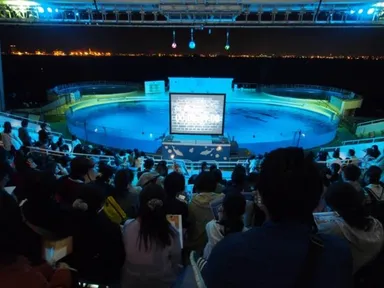 イルカプール集合場所