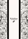 Kalafina LIVE TOUR 2014