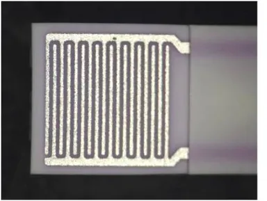 煤センサのセンサ部分