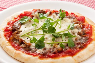 北海道エリア代表