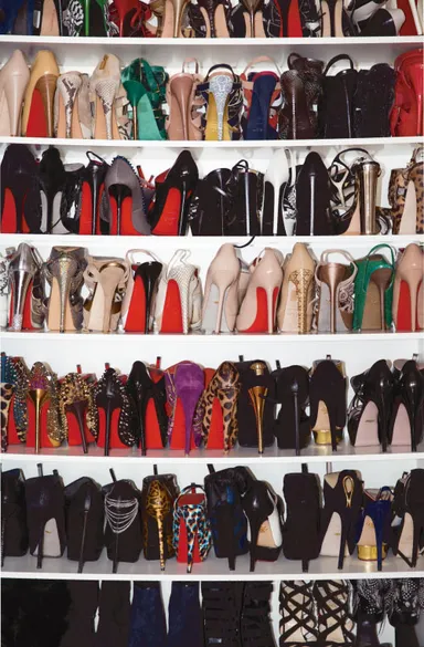 JUJU’s SHOES BOOK“I NEED MORE SHOES”