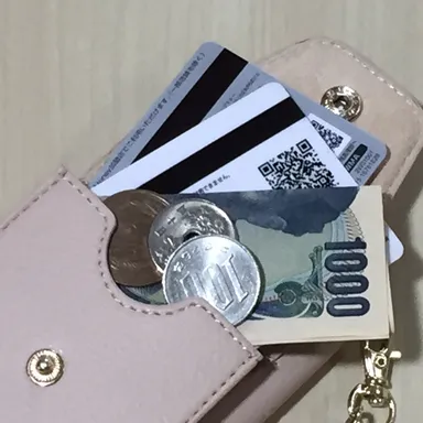 様々な用途に使えるカード入れ