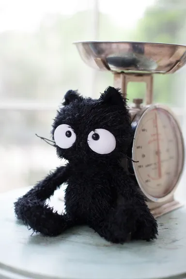 おねがいチャクラお披露目イベント(3)