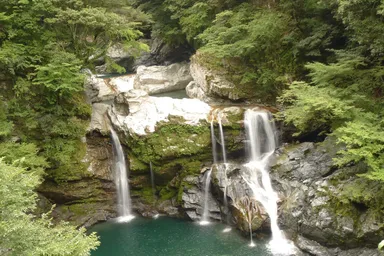 木沢の豊かな自然を体験