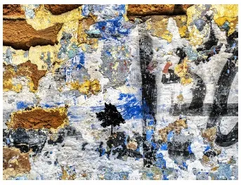 Constellations 作品(1)