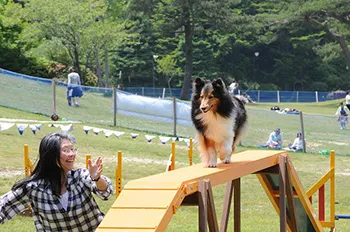 (2)ギャンブラー・アジリティ大会