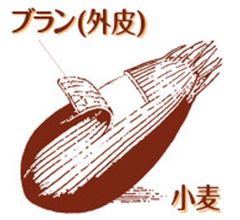 小麦ブラン