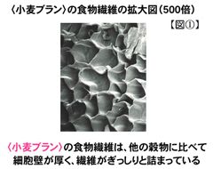 【図(1)】＜小麦ブラン＞食物繊維拡大図