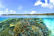珊瑚礁に囲まれた美しい「シギラビーチ」