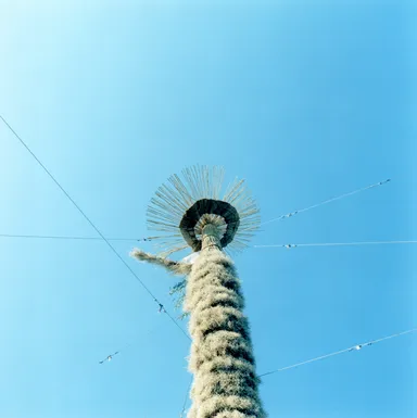 川内倫子 写真画像2