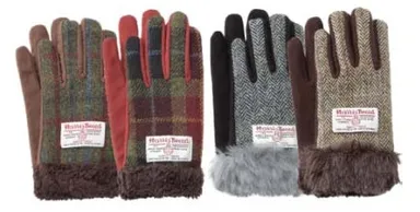 ウィメンズグローブ