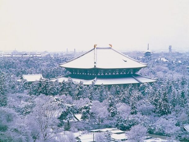 冬の東大寺