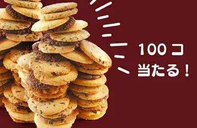 プレゼントイメージ