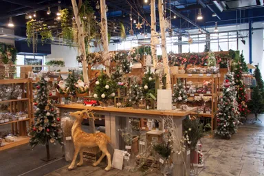 クリスマス特設コーナー