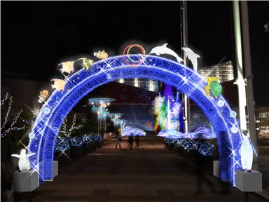 体感型イルミネーション「光のアーチ」